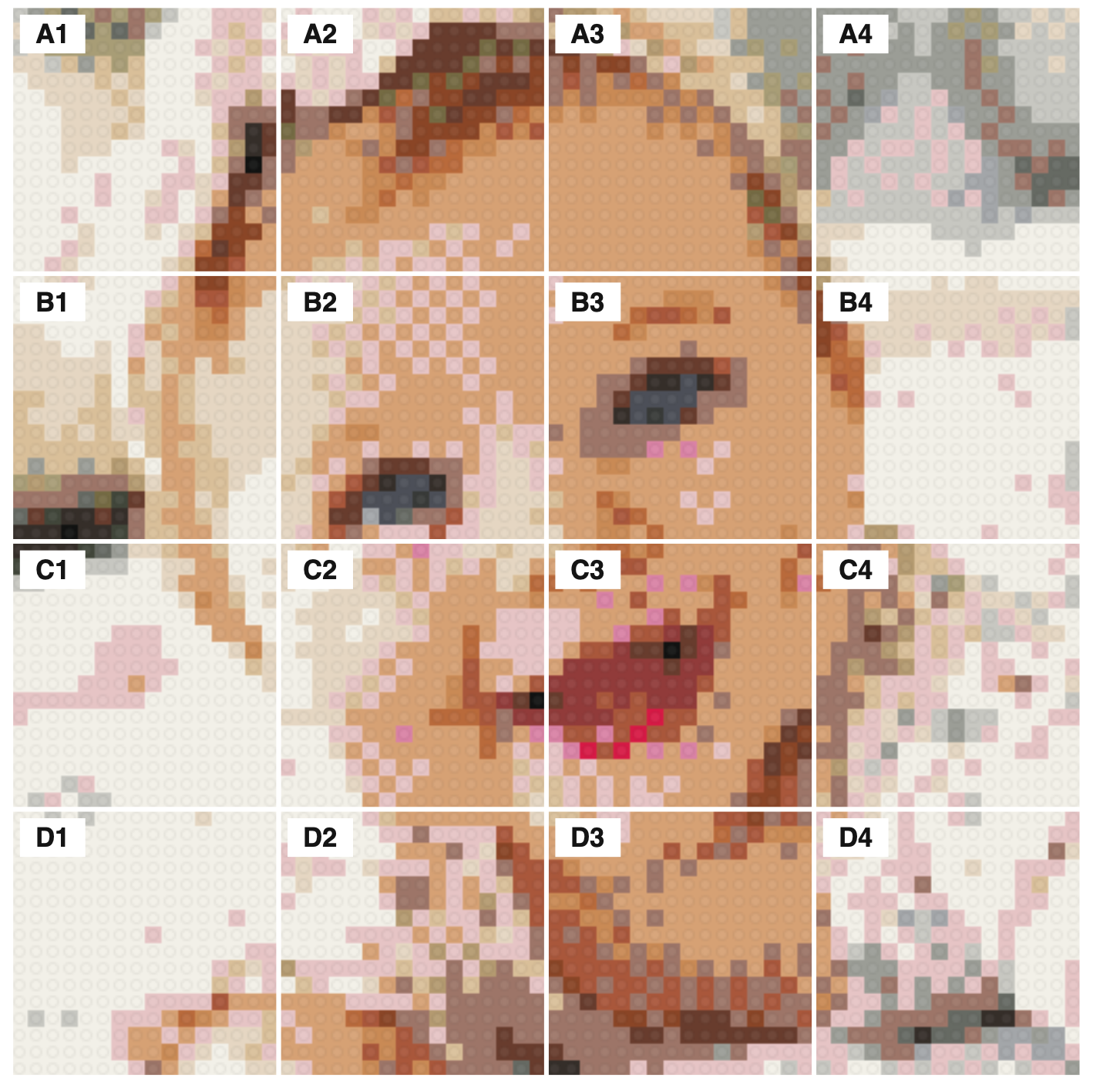 A 4×4 layout of labeled panels A1 through D4 forming a portrait