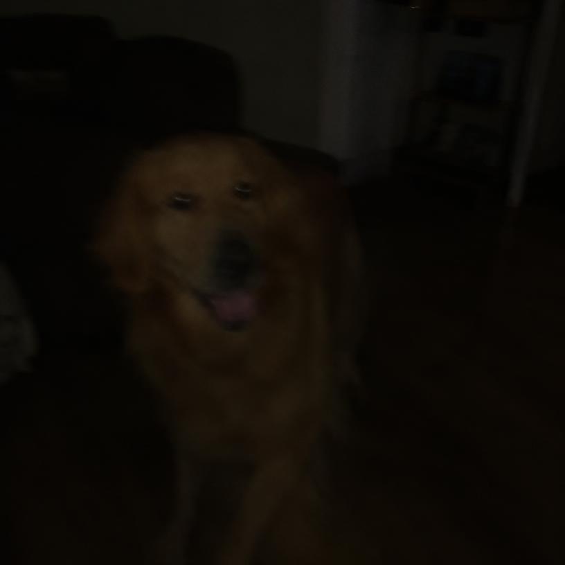 Dark or blurry